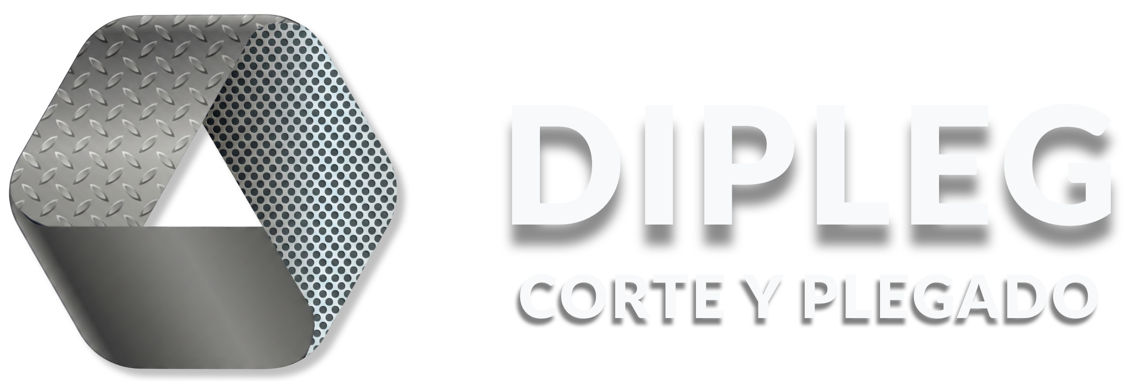 DIPLEG Logo